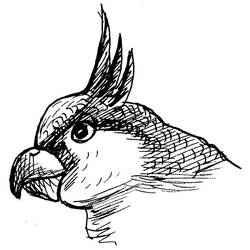 着色页: 鹦鹉 (动物) #16253 - 免费可打印着色页