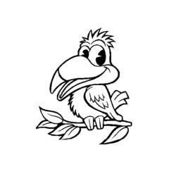 着色页: 鹦鹉 (动物) #16260 - 免费可打印着色页
