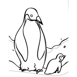 着色页: 企鹅 (动物) #16822 - 免费可打印着色页