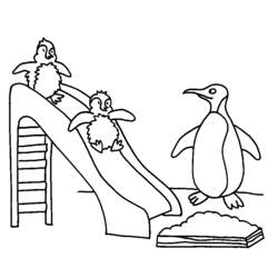 着色页: 企鹅 (动物) #16825 - 免费可打印着色页