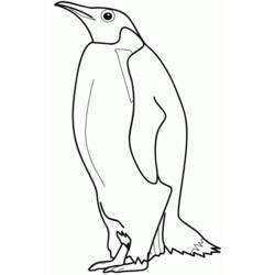 着色页: 企鹅 (动物) #16842 - 免费可打印着色页