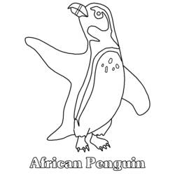 着色页: 企鹅 (动物) #16847 - 免费可打印着色页