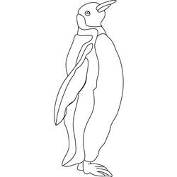 着色页: 企鹅 (动物) #16860 - 免费可打印着色页