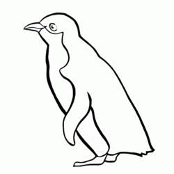 着色页: 企鹅 (动物) #16874 - 免费可打印着色页