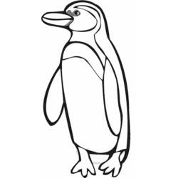 着色页: 企鹅 (动物) #16877 - 免费可打印着色页