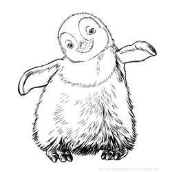 着色页: 企鹅 (动物) #16887 - 免费可打印着色页