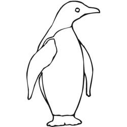 着色页: 企鹅 (动物) #16900 - 免费可打印着色页