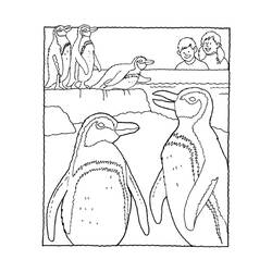 着色页: 企鹅 (动物) #16901 - 免费可打印着色页
