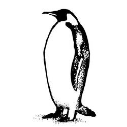 着色页: 企鹅 (动物) #16905 - 免费可打印着色页
