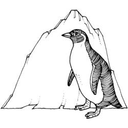 着色页: 企鹅 (动物) #16943 - 免费可打印着色页