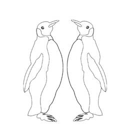 着色页: 企鹅 (动物) #16950 - 免费可打印着色页