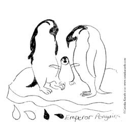 着色页: 企鹅 (动物) #17005 - 免费可打印着色页