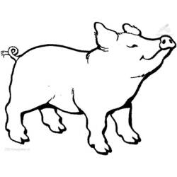 着色页: 猪 (动物) #3588 - 免费可打印着色页