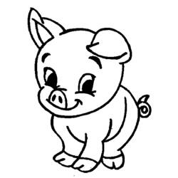 着色页: 猪 (动物) #3597 - 免费可打印着色页