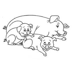 着色页: 猪 (动物) #3601 - 免费可打印着色页