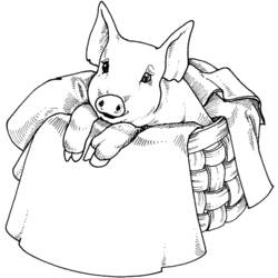 着色页: 猪 (动物) #3642 - 免费可打印着色页
