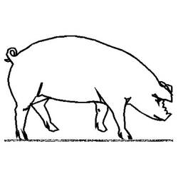 着色页: 猪 (动物) #3643 - 免费可打印着色页