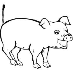 着色页: 猪 (动物) #3657 - 免费可打印着色页