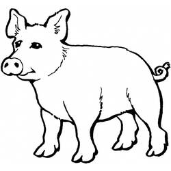 着色页: 猪 (动物) #3671 - 免费可打印着色页