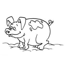 着色页: 猪 (动物) #3682 - 免费可打印着色页