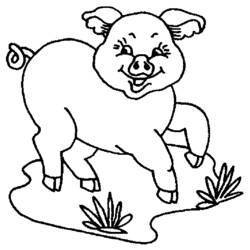 着色页: 猪 (动物) #3695 - 免费可打印着色页