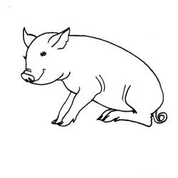 着色页: 猪 (动物) #3744 - 免费可打印着色页