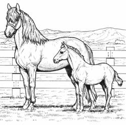 着色页: 小马 (动物) #17967 - 免费可打印着色页