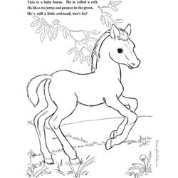 着色页: 小马 (动物) #17997 - 免费可打印着色页
