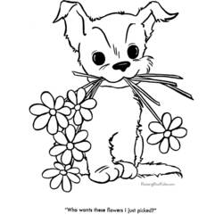 着色页: 小狗 (动物) #2918 - 免费可打印着色页