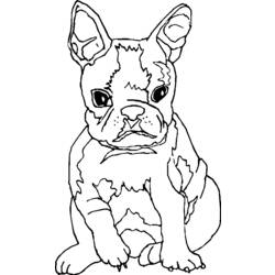 着色页: 小狗 (动物) #2924 - 免费可打印着色页