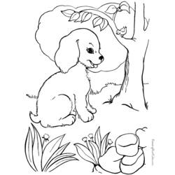 着色页: 小狗 (动物) #2926 - 免费可打印着色页