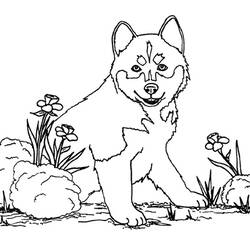 着色页: 小狗 (动物) #2939 - 免费可打印着色页