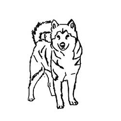 着色页: 小狗 (动物) #3048 - 免费可打印着色页