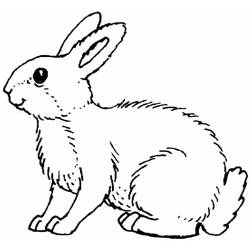 着色页: 兔子 (动物) #9504 - 免费可打印着色页