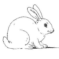 着色页: 兔子 (动物) #9510 - 免费可打印着色页