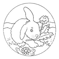 着色页: 兔子 (动物) #9536 - 免费可打印着色页