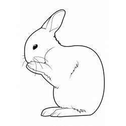 着色页: 兔子 (动物) #9554 - 免费可打印着色页
