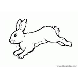 着色页: 兔子 (动物) #9560 - 免费可打印着色页