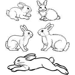 着色页: 兔子 (动物) #9562 - 免费可打印着色页