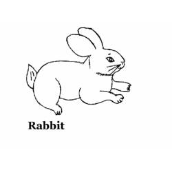 着色页: 兔子 (动物) #9587 - 免费可打印着色页