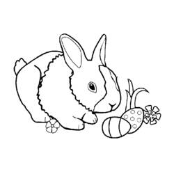 着色页: 兔子 (动物) #9591 - 免费可打印着色页