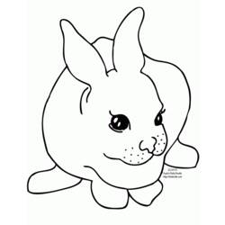 着色页: 兔子 (动物) #9603 - 免费可打印着色页