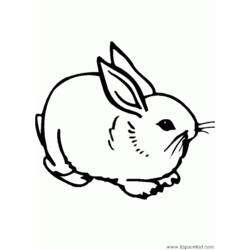 着色页: 兔子 (动物) #9610 - 免费可打印着色页