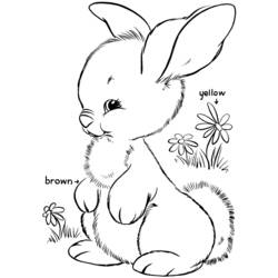 着色页: 兔子 (动物) #9621 - 免费可打印着色页