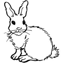 着色页: 兔子 (动物) #9625 - 免费可打印着色页