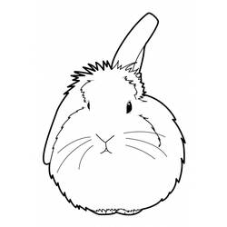 着色页: 兔子 (动物) #9641 - 免费可打印着色页