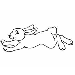 着色页: 兔子 (动物) #9677 - 免费可打印着色页
