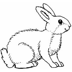 着色页: 兔子 (动物) #9689 - 免费可打印着色页