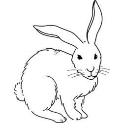 着色页: 兔子 (动物) #9694 - 免费可打印着色页