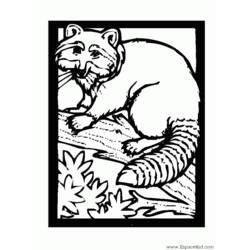 着色页: 狸 (动物) #19994 - 免费可打印着色页